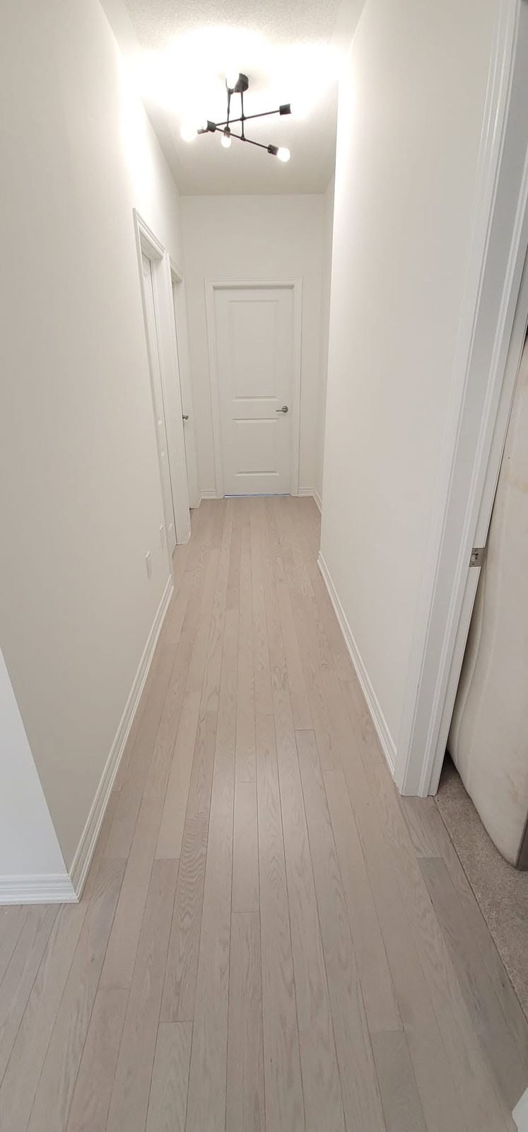 Upstairs hallway, light hardwood